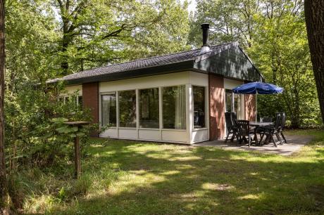 Vakantiehuis Nederland - : 