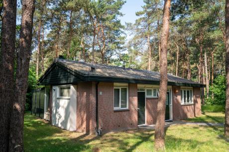 Ferienhaus Niederlande - : 