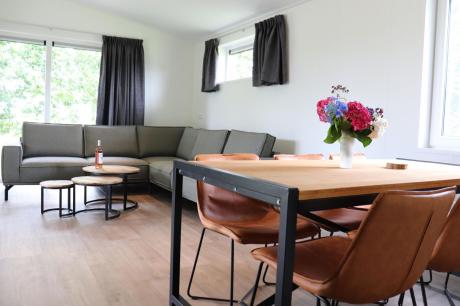 Ferienhaus Niederlande - : 