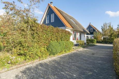 Vakantiehuis Nederland - : 