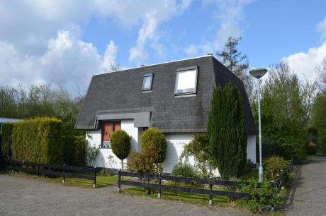 Ferienhaus Niederlande - : 