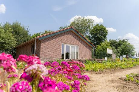 Ferienhaus Niederlande - : 