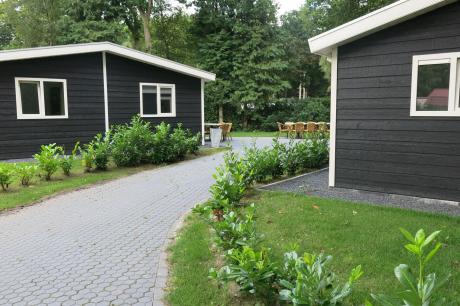 Ferienhaus Niederlande - : 