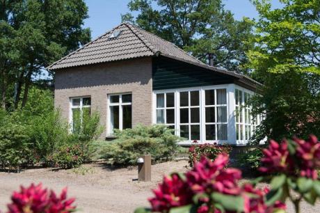 Ferienhaus Niederlande - : 