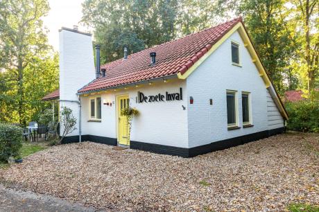 Ferienhaus Niederlande - : 