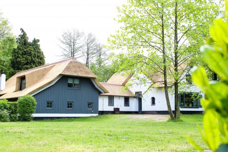 Ferienhaus Niederlande - : 