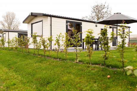 Ferienhaus Niederlande - : 