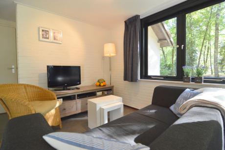 Ferienhaus Niederlande - : 