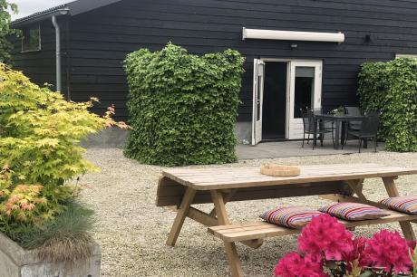 Ferienhaus Niederlande - : 