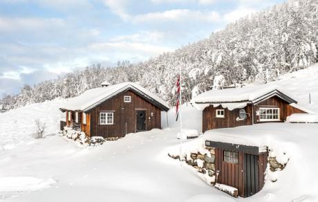 Holiday home Norway - : 