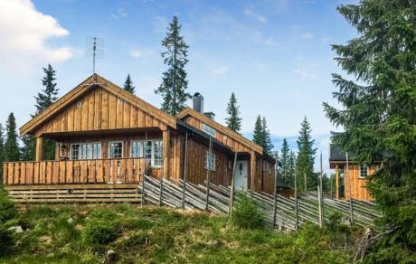 Holiday home Norway - : 