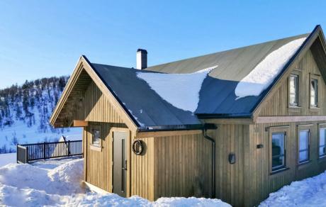 Holiday home Norway - : 