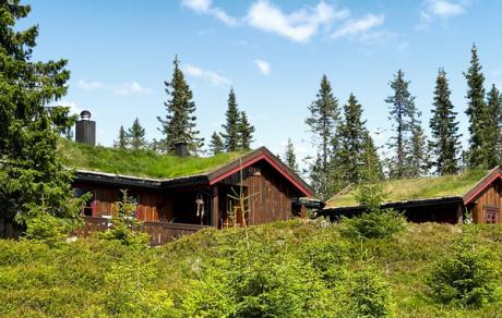 Holiday home Norway - : 