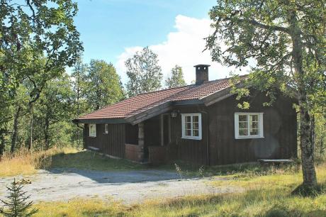 Ferienhaus Noorwegen - : 