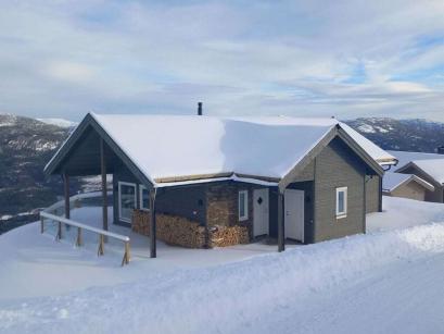 Holiday home Norway - : 