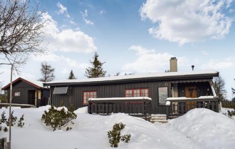 Holiday home Norway - : 