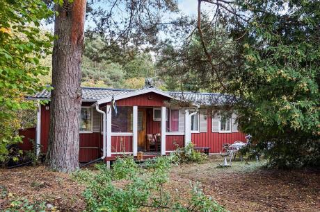 Ferienhaus Schweden - : 