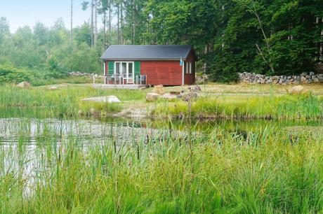 Ferienhaus Schweden - : 