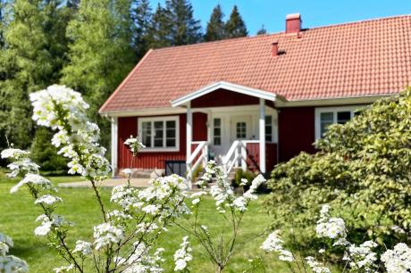 Ferienhaus Schweden - : 