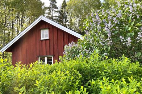 Ferienhaus Schweden - : 