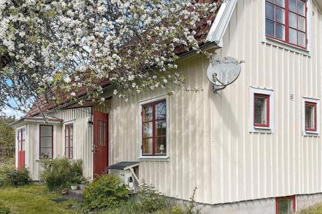 Ferienhaus Schweden - : 