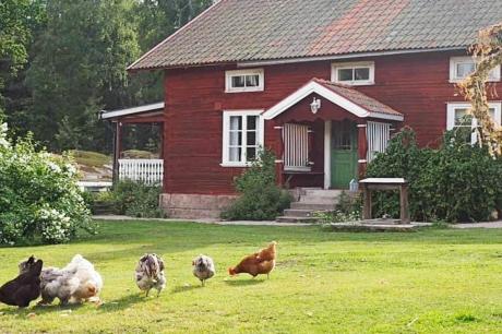 Holiday home Sweden - : 