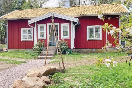 Ferienhaus Schweden - : 