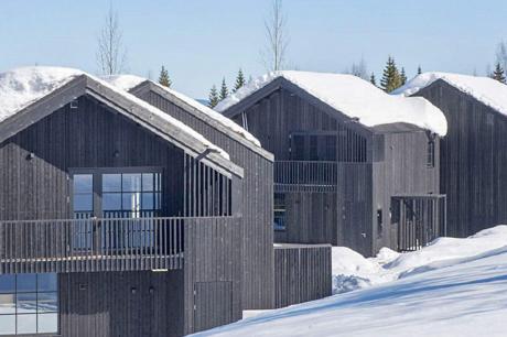 Ferienhaus Schweden - : 