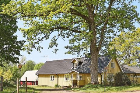 Ferienhaus Schweden - : 