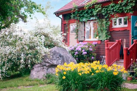 Ferienhaus Schweden - : 