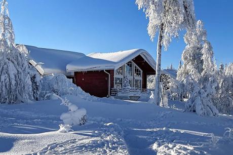 Ferienhaus Schweden - : 