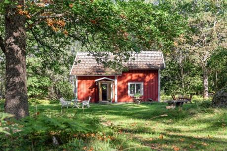 Ferienhaus Schweden - : 