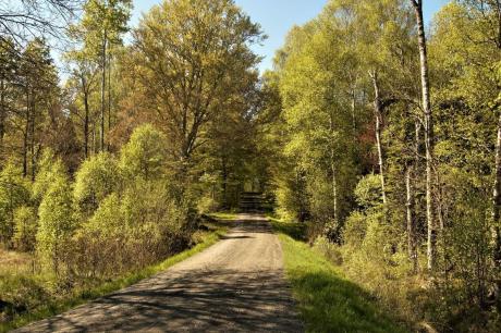 Ferienhaus Schweden - : 