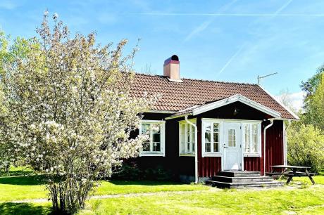 Ferienhaus Schweden - : 