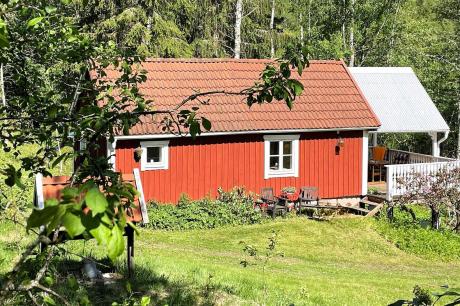 Ferienhaus Schweden - : 