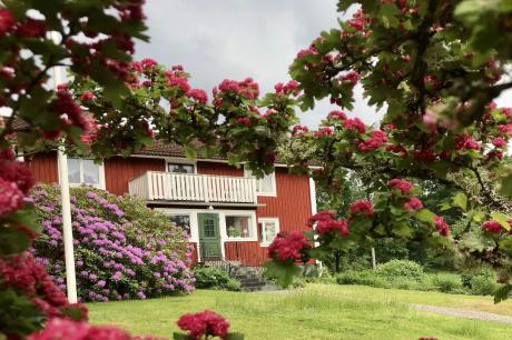 Ferienhaus Schweden - : 