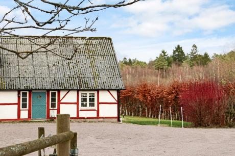 Ferienhaus Schweden - : 